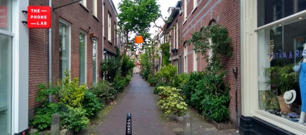 IMG_20200503_092005587_HDR.jpg